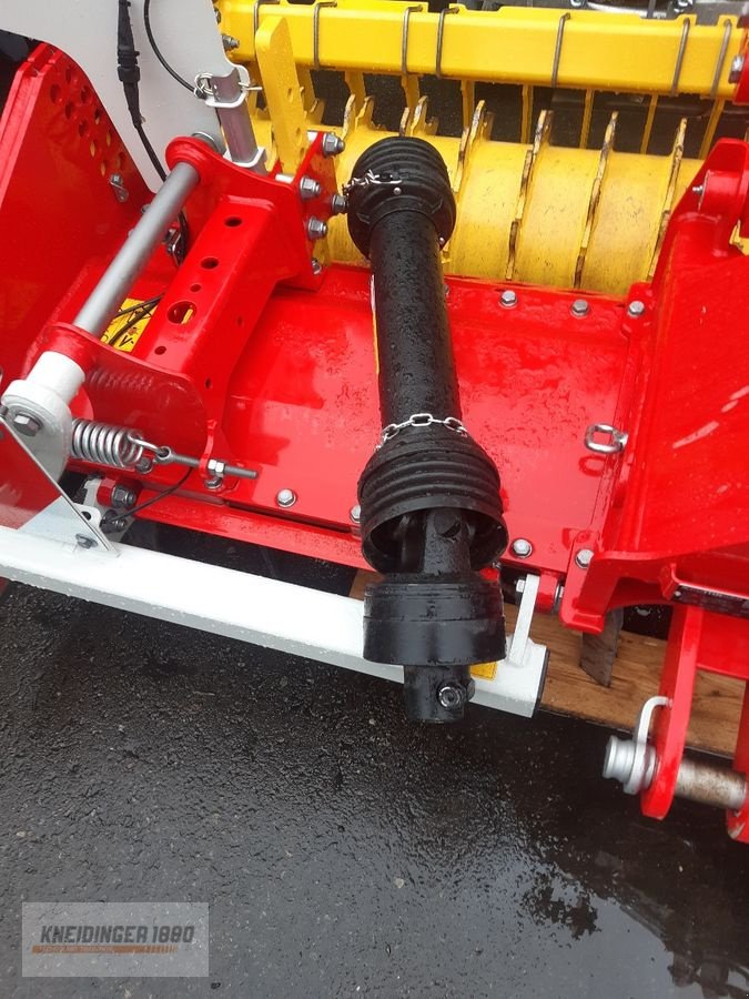 Kreiselegge typu Pöttinger Lion 3030 Classic, Vorführmaschine v Altenfelden (Obrázek 5)