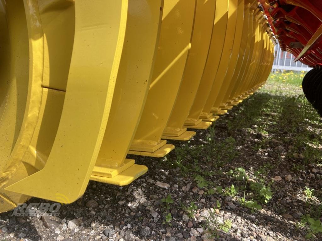 Kreiselegge des Typs Pöttinger LION 3030 MASTER, Neumaschine in Bordelum (Bild 9)