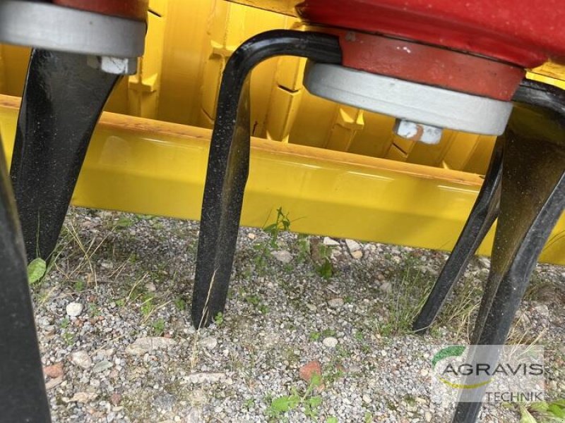 Kreiselegge des Typs Pöttinger LION 3030, Neumaschine in Raesfeld (Bild 4)