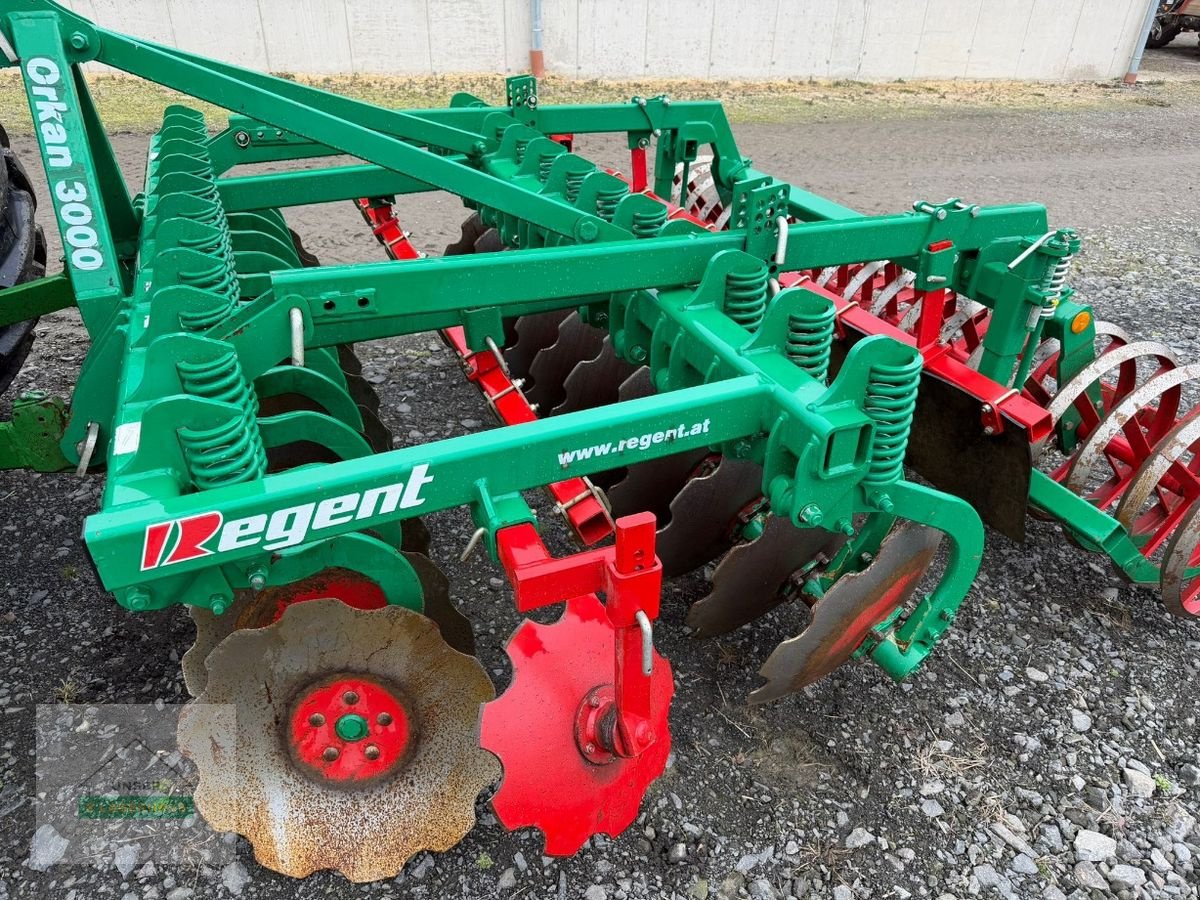 Kreiselegge типа Regent ORKAN  3000, Gebrauchtmaschine в Feldbach (Фотография 2)