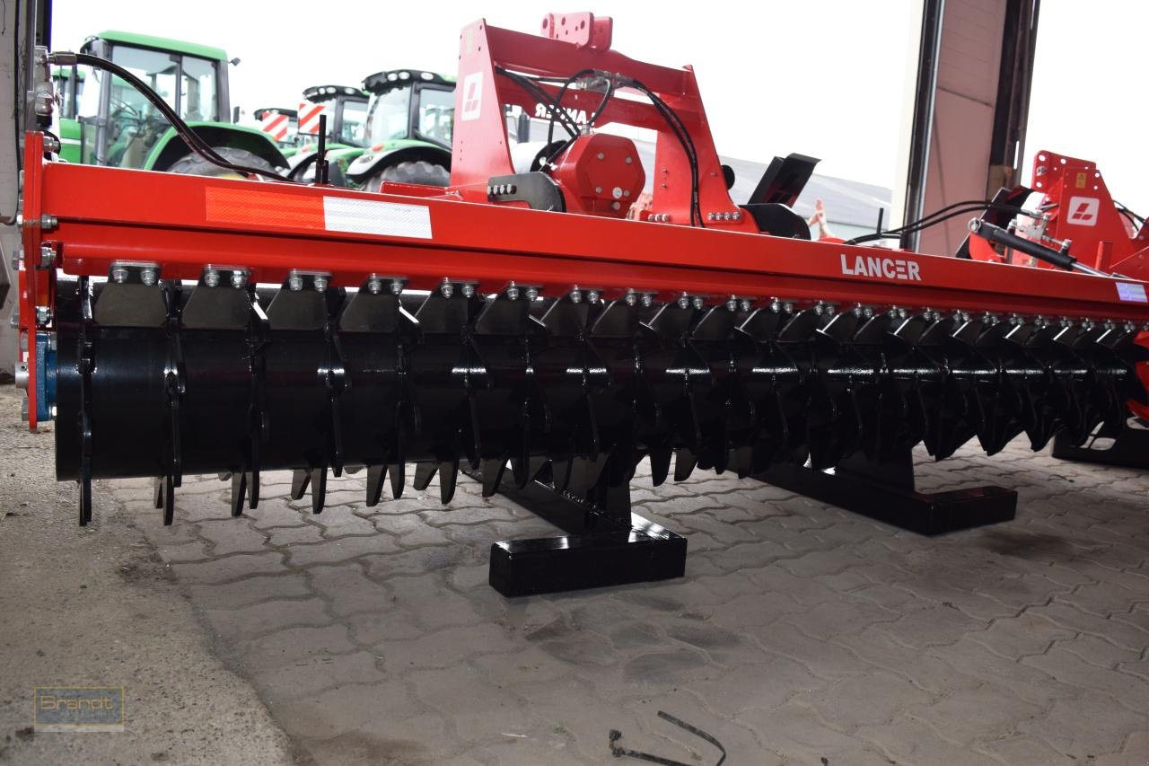 Kreiselegge Türe ait Sonstige Lancer URANUS UM290, Neumaschine içinde Oyten (resim 6)