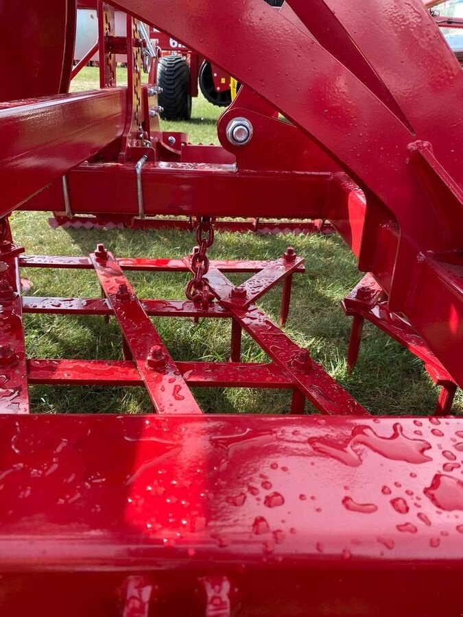 Kreiselegge tip Sonstige Lupus Zinkenegge / tine harrow, Neumaschine in Michałowo (Poză 6)