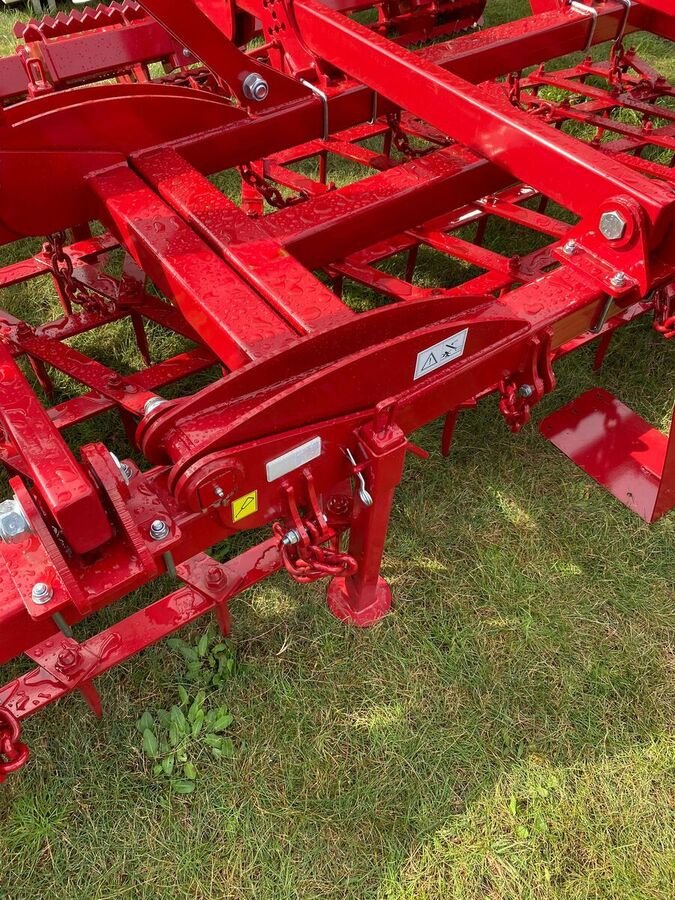 Kreiselegge tip Sonstige Lupus Zinkenegge / tine harrow, Neumaschine in Michałowo (Poză 4)