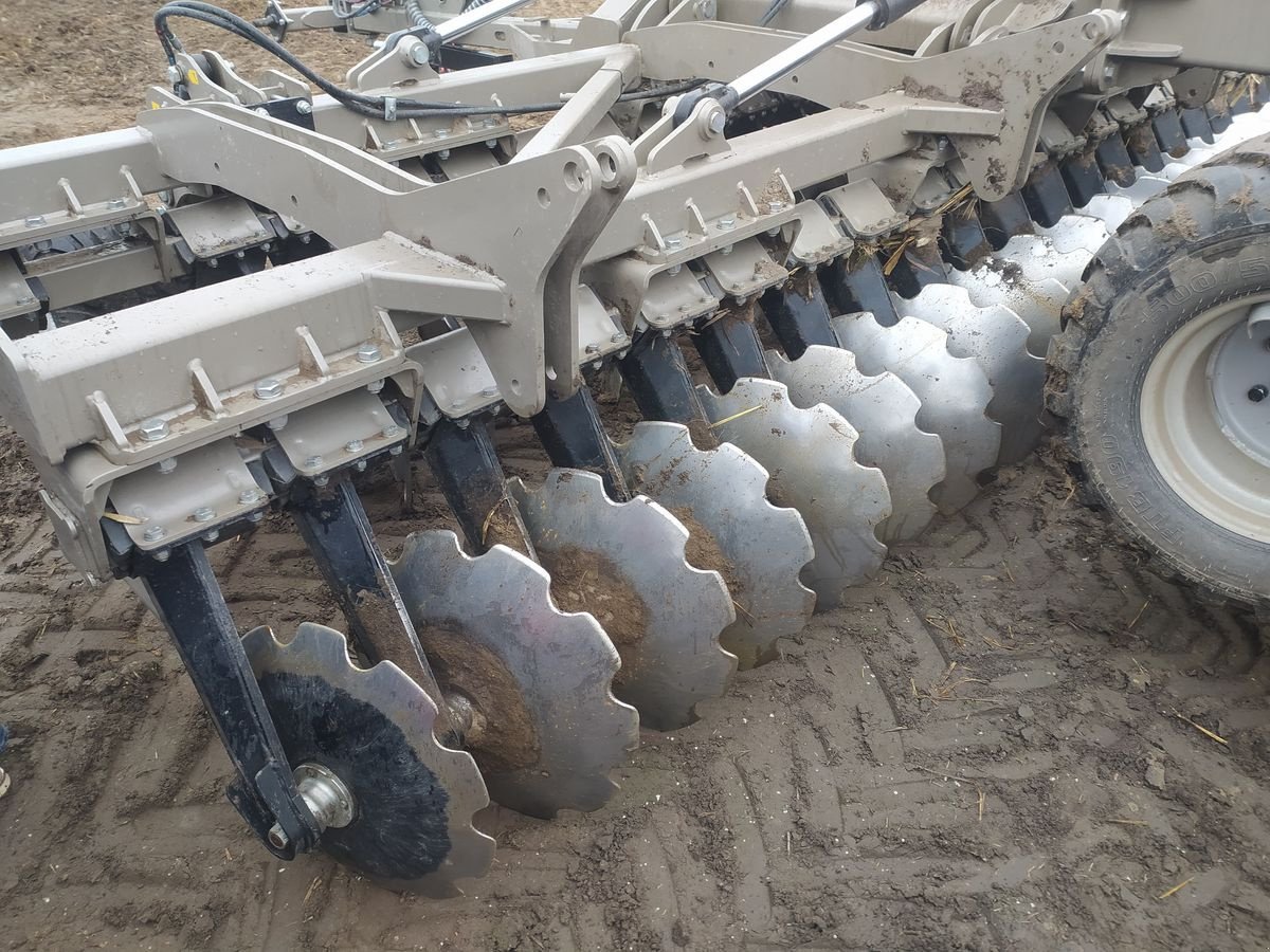 Kreiselegge of the type Sonstige Scheibenegge BTHC 500 / discs harrow, Neumaschine in Michałowo (Picture 2)