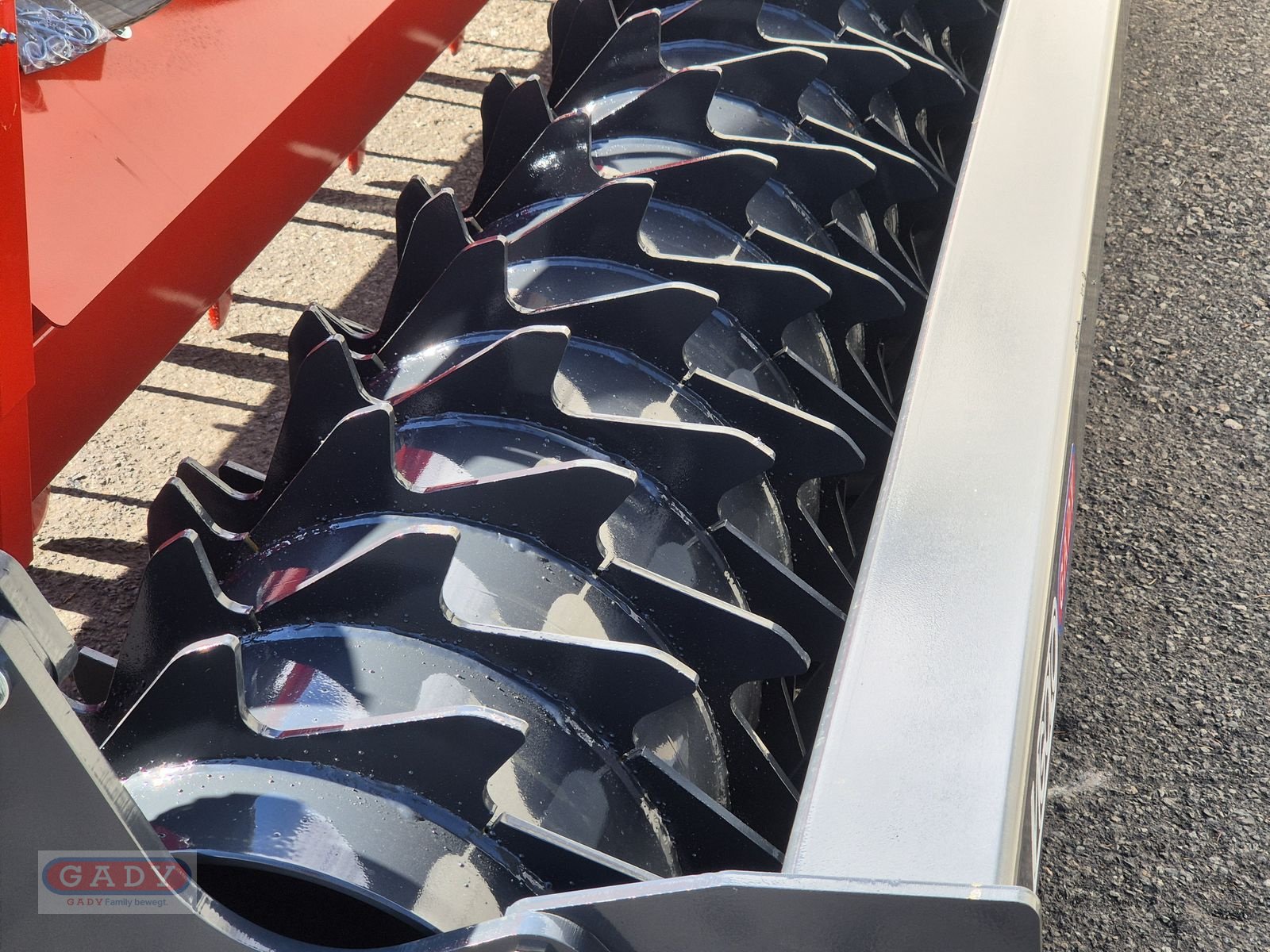 Kreiselegge des Typs Vigolo EN S 300 KREISELEGGE, Neumaschine in Lebring (Bild 5)