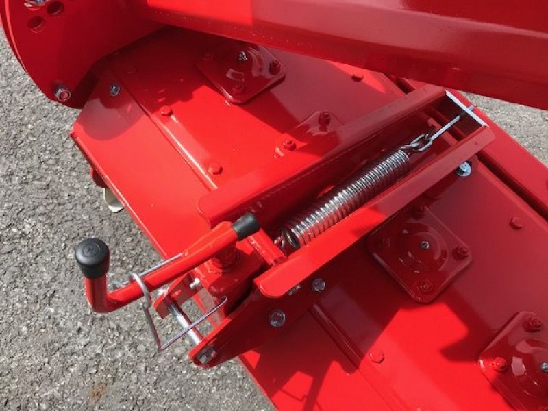 Kreiselegge des Typs Vigolo Kreiselegge EN-PLUS 300 Packerwalze, Neumaschine in Tamsweg (Bild 8)