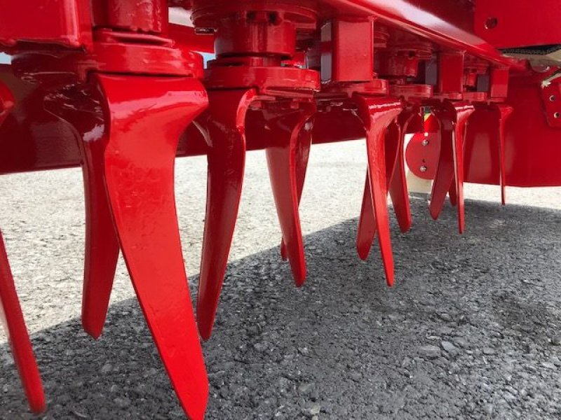 Kreiselegge des Typs Vigolo Kreiselegge EN-PLUS 300 Packerwalze, Neumaschine in Tamsweg (Bild 12)