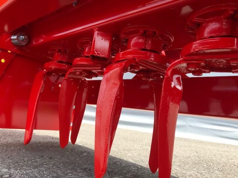 Kreiselegge des Typs Vigolo Kreiselegge EN-PLUS 300 Packerwalze, Neumaschine in Tamsweg (Bild 13)