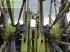Kreiselheuer del tipo CLAAS 2800, Gebrauchtmaschine en BOWBURN (Imagen 5)