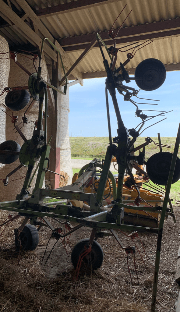 Kreiselheuer a típus CLAAS DIVERS, Gebrauchtmaschine ekkor: TREMEUR (Kép 4)