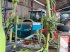Kreiselheuer типа CLAAS FANEUSE, Gebrauchtmaschine в Charnay-lès-macon (Фотография 2)