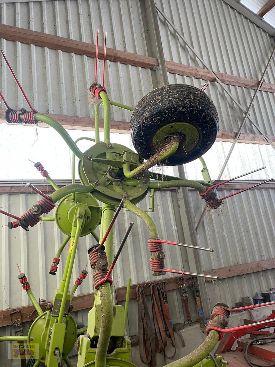 Kreiselheuer типа CLAAS Volto 64, Gebrauchtmaschine в Kötschach (Фотография 5)