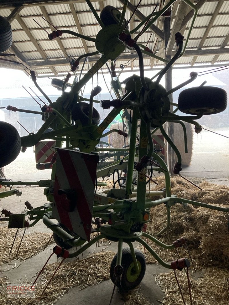 Kreiselheuer typu CLAAS Volto 770, Gebrauchtmaschine w Bockel - Gyhum (Zdjęcie 7)