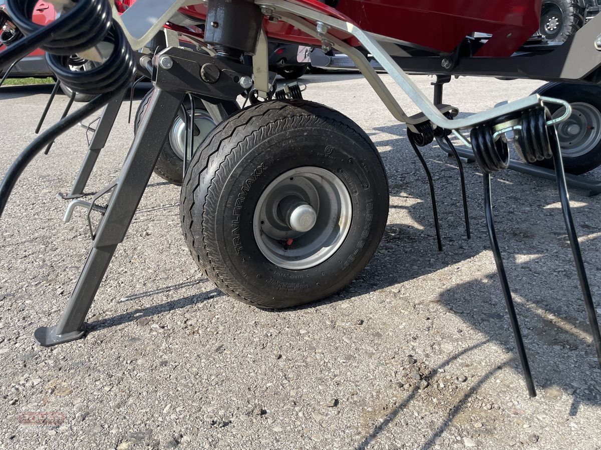 Kreiselheuer typu Fella Sanos 11010 DN, Neumaschine v Wieselburg Land (Obrázek 8)