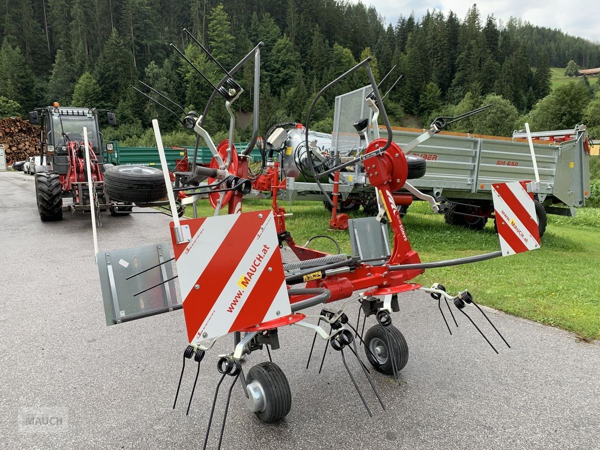 Kreiselheuer des Typs Fella Sanos 401 DS, Neumaschine in Burgkirchen (Bild 10)