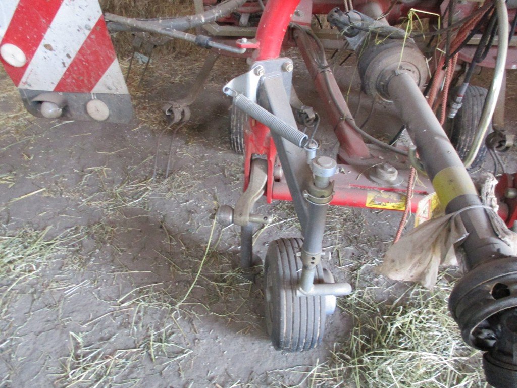 Kreiselheuer Türe ait Fella Sanos 6606 DN, Gebrauchtmaschine içinde Grosswangen (resim 4)