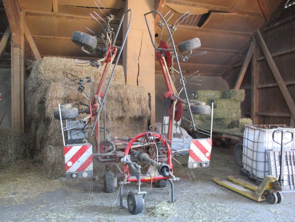 Kreiselheuer Türe ait Fella Sanos 6606 DN, Gebrauchtmaschine içinde Grosswangen (resim 1)