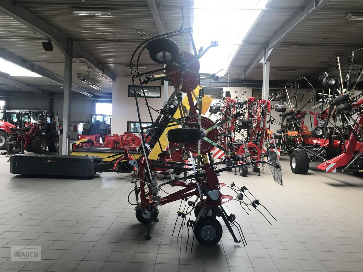 Kreiselheuer des Typs Fella Sanos 6606DN, Neumaschine in Burgkirchen (Bild 10)