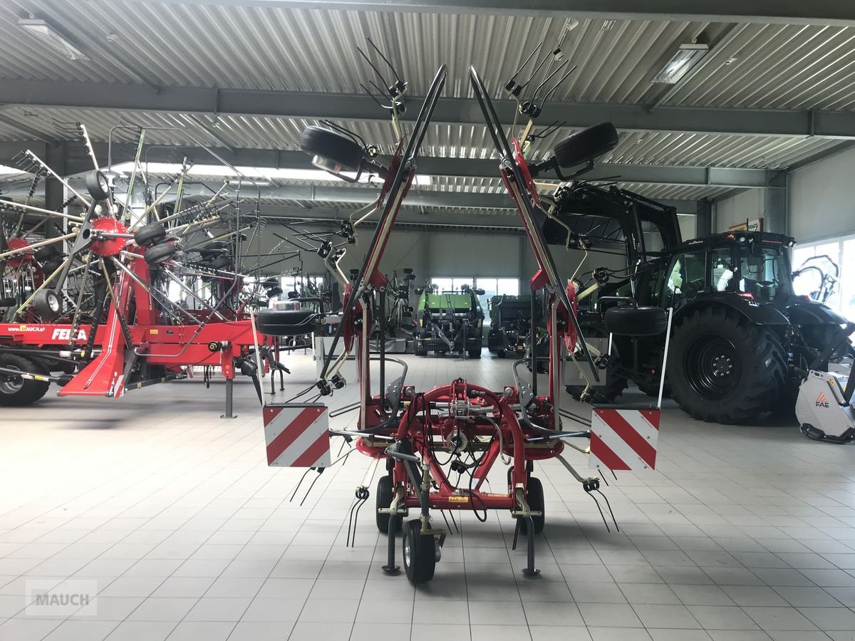 Kreiselheuer des Typs Fella Sanos 6606DN, Neumaschine in Burgkirchen (Bild 3)