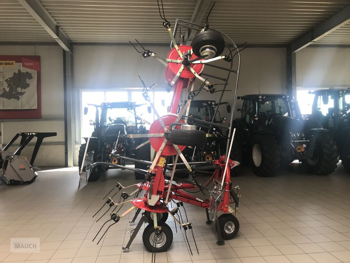 Kreiselheuer des Typs Fella Sanos 6606DN, Neumaschine in Burgkirchen (Bild 5)