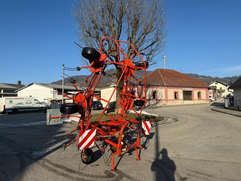 Kreiselheuer Türe ait Fella TH 450/680, Gebrauchtmaschine içinde Kirchdorf (resim 1)