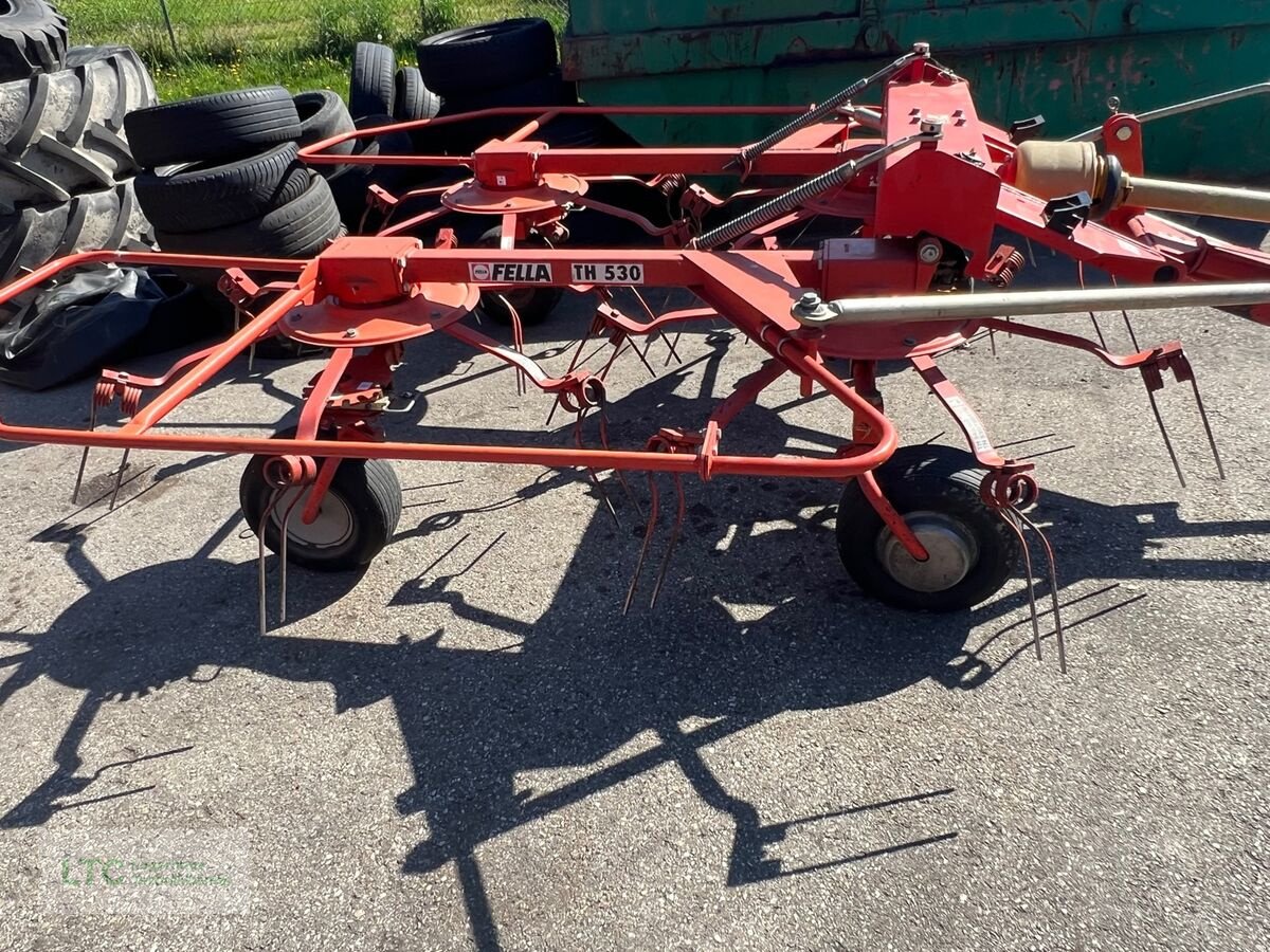 Kreiselheuer Türe ait Fella TH 530, Gebrauchtmaschine içinde Redlham (resim 5)