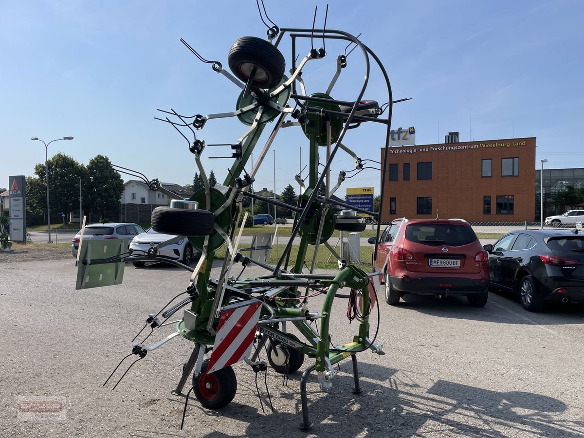 Kreiselheuer typu Fendt Twister 6606 DN, Neumaschine v Wieselburg Land (Obrázek 9)