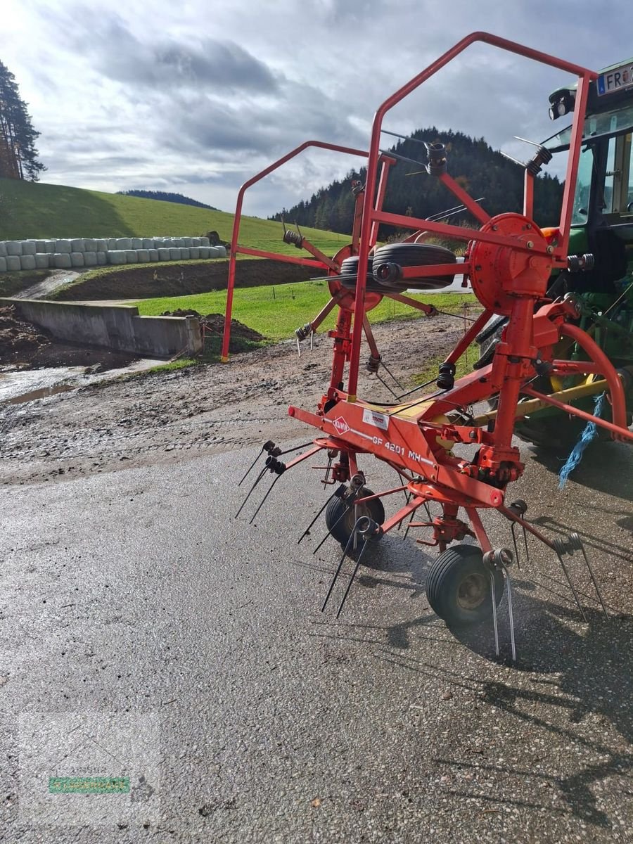 Kreiselheuer Türe ait Kuhn GF 4201 MH, Gebrauchtmaschine içinde Freistadt (resim 3)