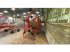 Kreiselheuer del tipo Kuhn GF 7802, Gebrauchtmaschine en STENAY (Imagen 2)