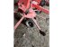 Kreiselheuer типа Kuhn GF5202, Gebrauchtmaschine в ESCAUDOEUVRES (Фотография 3)