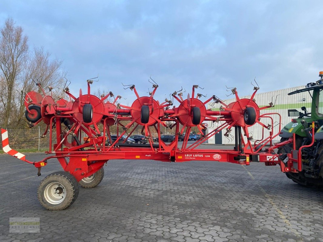 Kreiselheuer des Typs Lely Lotus 1250 PROFI, Gebrauchtmaschine in Mühlengeez (Bild 2)