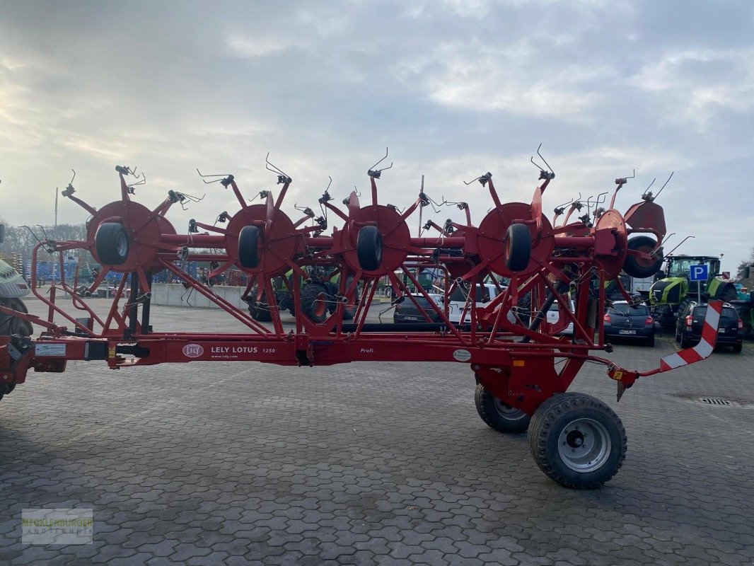 Kreiselheuer des Typs Lely Lotus 1250 PROFI, Gebrauchtmaschine in Mühlengeez (Bild 7)