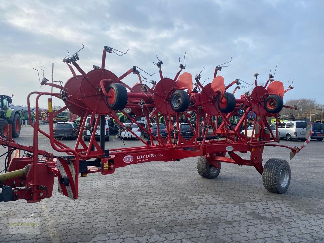 Kreiselheuer des Typs Lely Lotus 1250 PROFI, Gebrauchtmaschine in Mühlengeez (Bild 8)