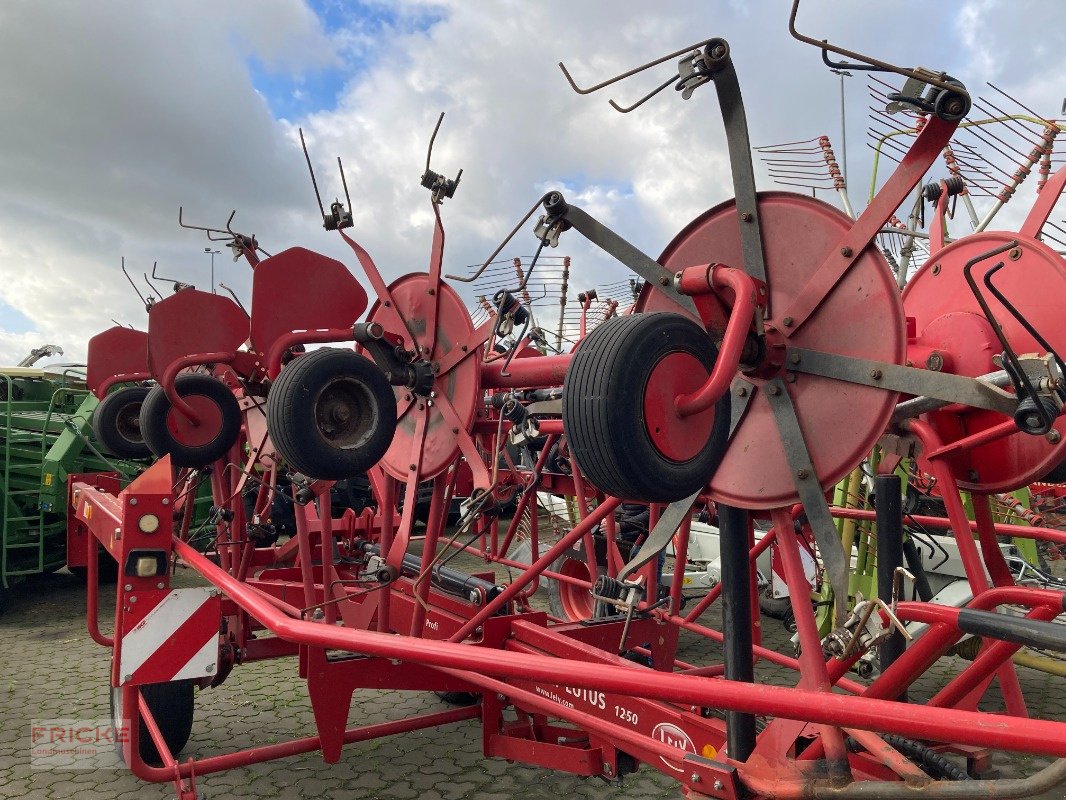Kreiselheuer typu Lely Lotus 1250, Gebrauchtmaschine v Bockel - Gyhum (Obrázek 6)