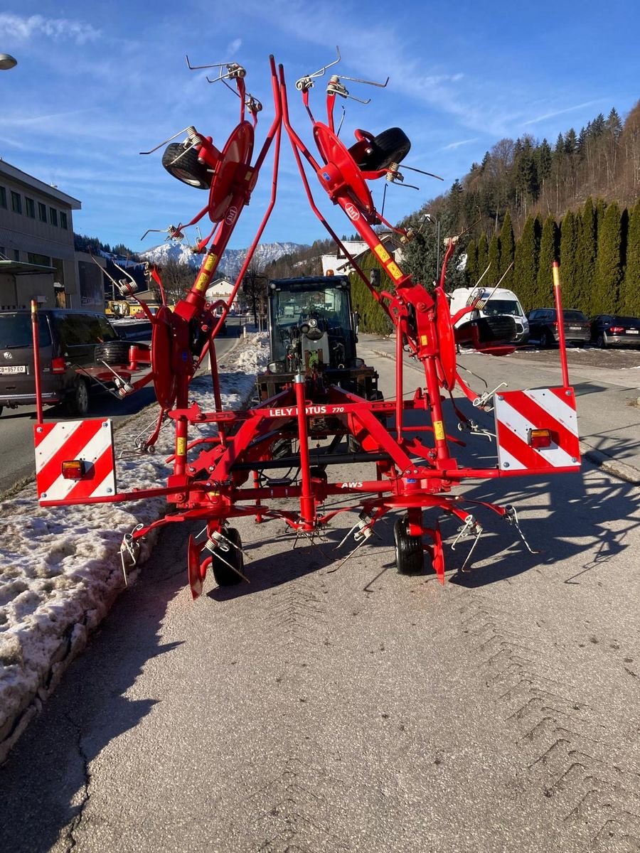 Kreiselheuer del tipo Lely Lotus 770 Stabilo, Gebrauchtmaschine en Hopfgarten (Imagen 14)