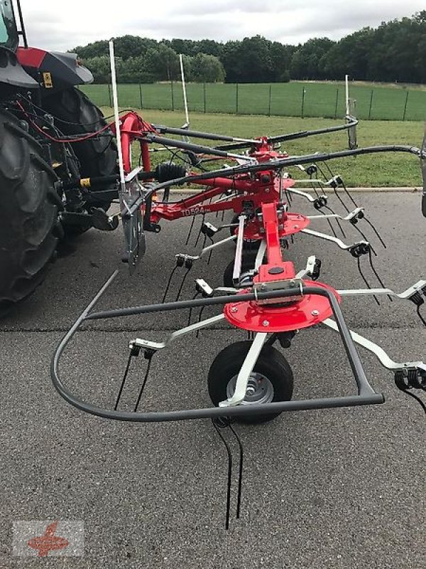 Kreiselheuer of the type Massey Ferguson MF TD 524 DN / FELLA SANOS 5204 DN, Neumaschine in Oederan (Picture 1)