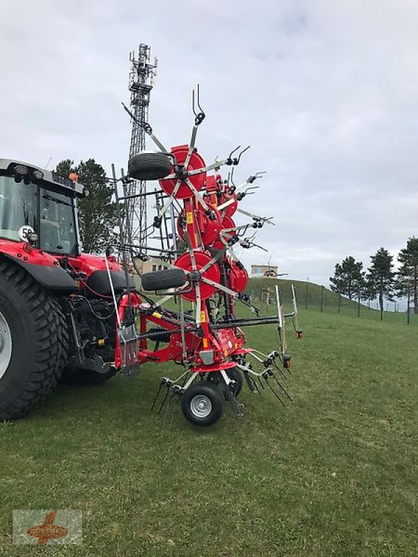 Kreiselheuer Türe ait Massey Ferguson MF TD 868 DN / FELLA SANOS 8608 DN, Neumaschine içinde Oederan (resim 6)