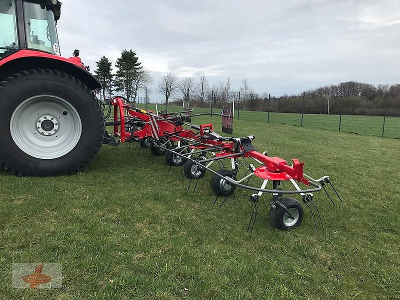 Kreiselheuer Türe ait Massey Ferguson MF TD 868 DN / FELLA SANOS 8608 DN, Neumaschine içinde Oederan (resim 4)