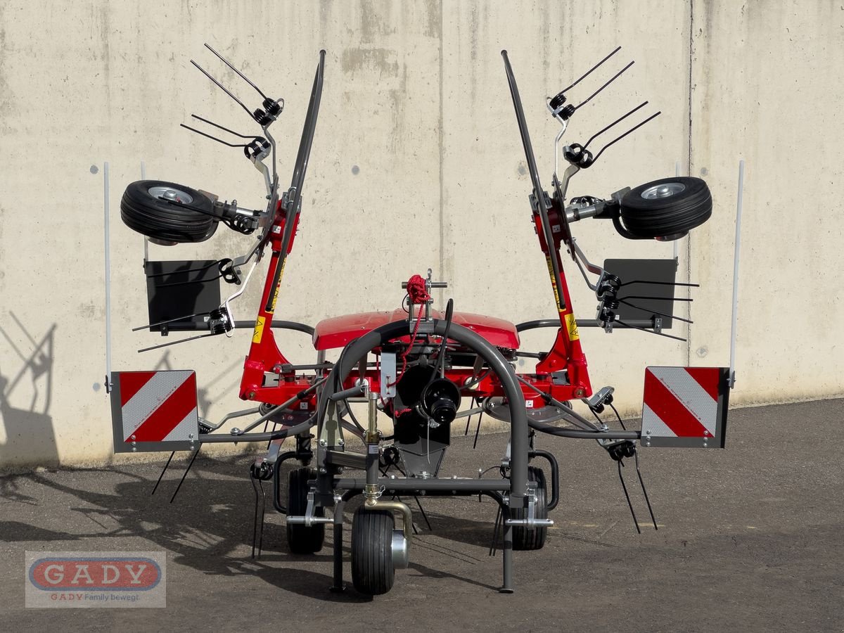 Kreiselheuer Türe ait Massey Ferguson TD404DN GEN2 HEUWENDER, Neumaschine içinde Lebring (resim 3)