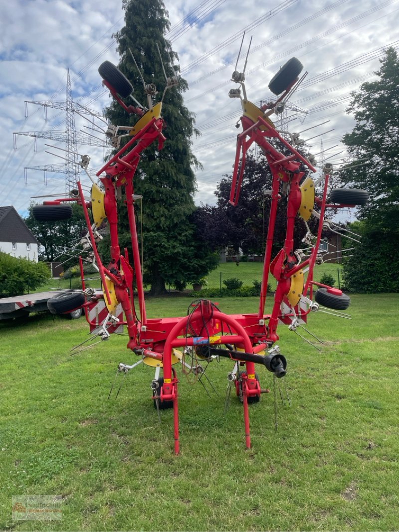 Kreiselheuer of the type Pöttinger EUROHIT 81 N, Gebrauchtmaschine in Marl (Picture 5)