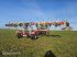 Kreiselheuer typu Pöttinger HIT 16.18T, Gebrauchtmaschine v Germaringen (Obrázek 3)
