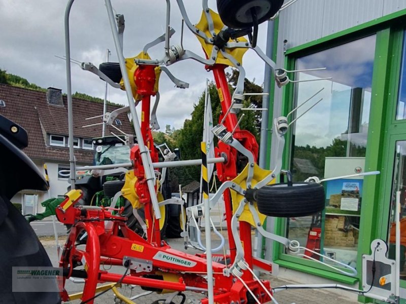 Kreiselheuer des Typs Pöttinger Hit 6.69, Neumaschine in Bad Wildungen - Wega (Bild 1)