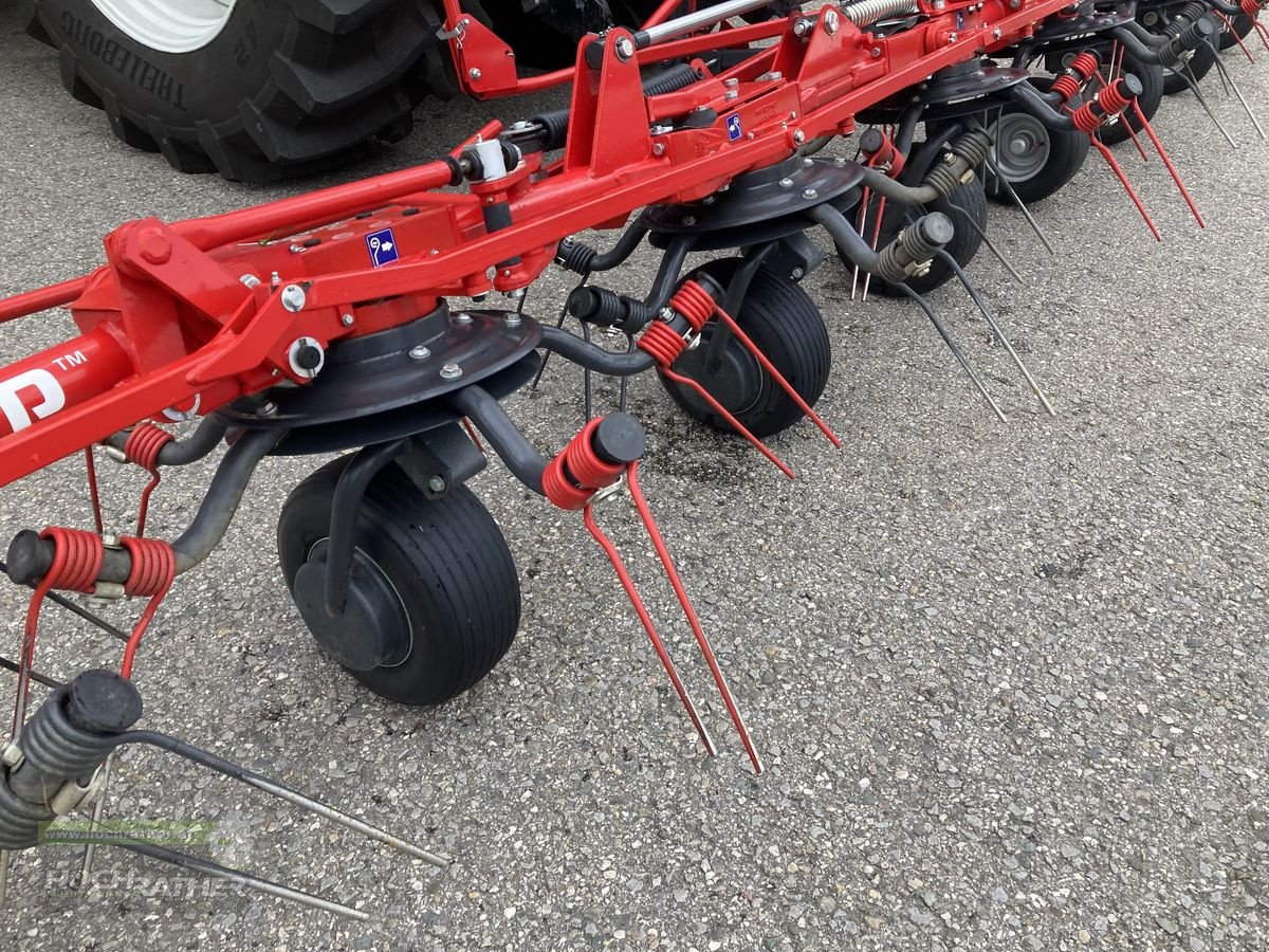 Kreiselheuer Türe ait SIP SIP Spider 815/8, Gebrauchtmaschine içinde Kronstorf (resim 13)