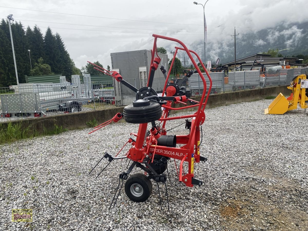 Kreiselheuer typu SIP Spider 350/4 Alp Hydro, Neumaschine v Kötschach (Obrázek 5)