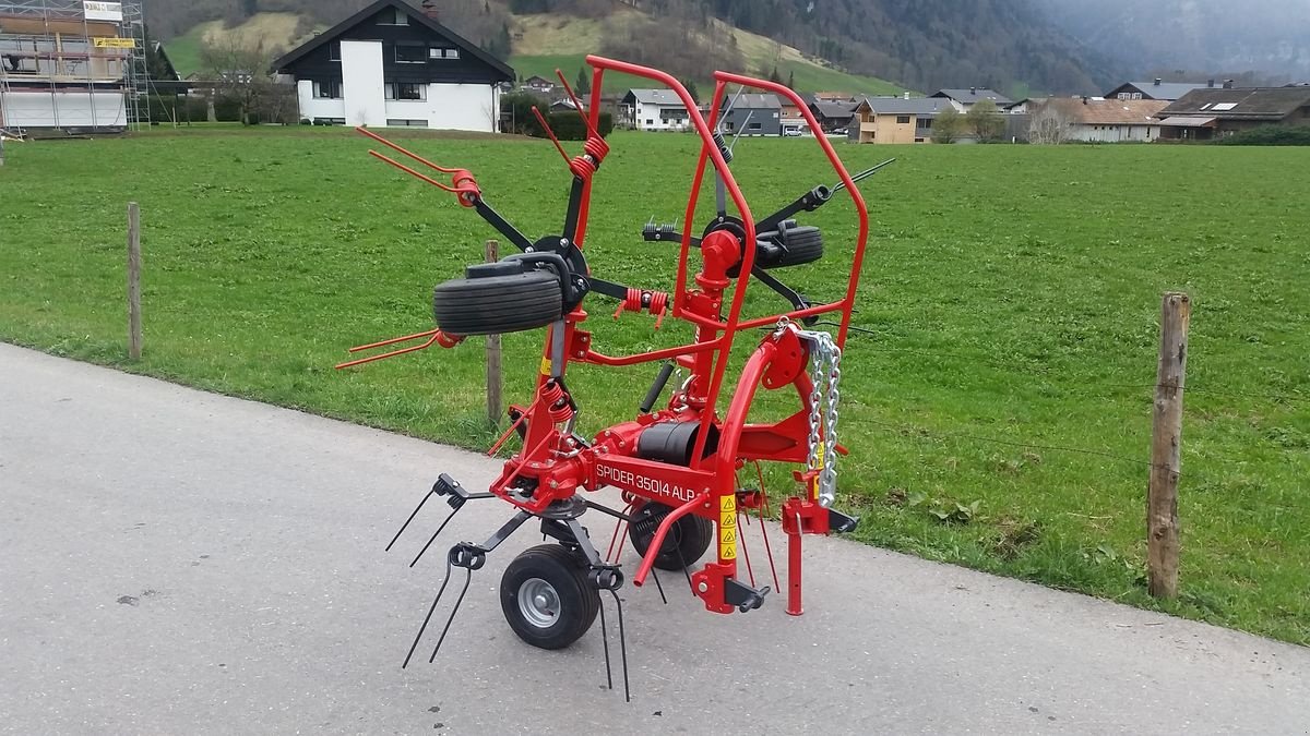 Kreiselheuer typu SIP Spider 350 Alpin, Neumaschine v Bezau (Obrázek 5)