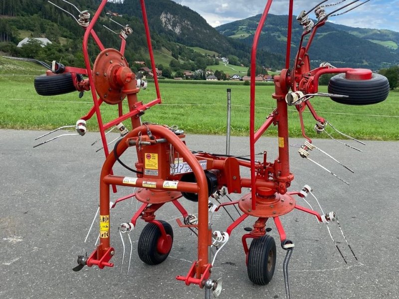 Kreiselheuer des Typs SIP Spider 400, Gebrauchtmaschine in Oberwölz (Bild 1)
