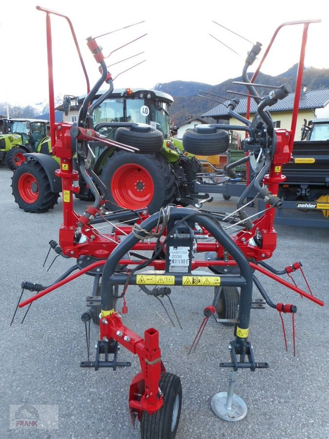 Kreiselheuer des Typs SIP Spider 455, Gebrauchtmaschine in Bad Vigaun (Bild 3)