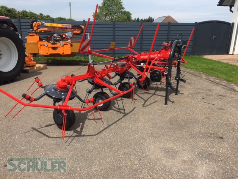 Kreiselheuer Türe ait SIP Spider 600/6 ALP, Neumaschine içinde St. Märgen (resim 4)