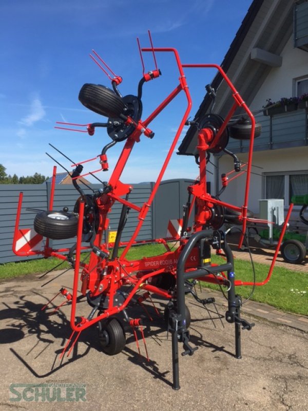 Kreiselheuer Türe ait SIP Spider 600/6 ALP, Neumaschine içinde St. Märgen (resim 8)