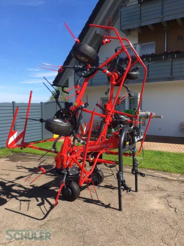 Kreiselheuer Türe ait SIP Spider 600/6 ALP, Neumaschine içinde St. Märgen (resim 12)